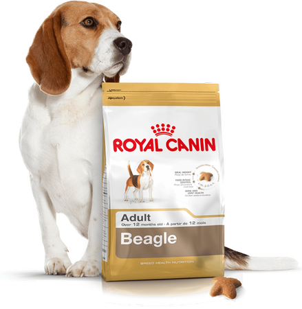ROYAL CANIN Beagle Adult 12kg + PŘEKVAPENÍ ZDARMA !