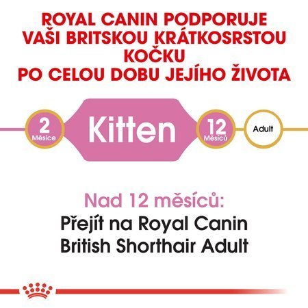 ROYAL CANIN British Shorthair Kitten 10kg 