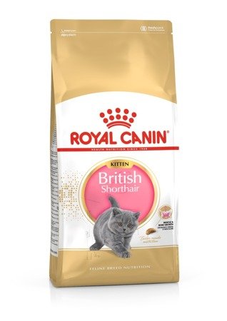 ROYAL CANIN British Shorthair Kitten 10kg 