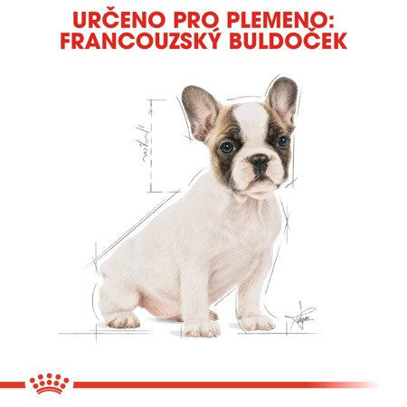 ROYAL CANIN French Bulldog Junior  2x10kg SLEVA 3%