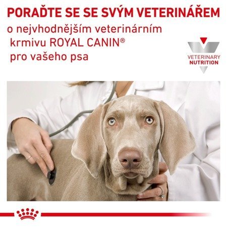 ROYAL CANIN Hypoallergenic DR21 14kg + PŘEKVAPENÍ PRO PSA !!!!!!