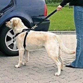 Postroj do auta pro psa Trixie S 30-60 cm