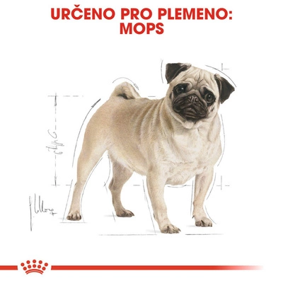 ROYAL CANIN Pug Adult 1,5kg