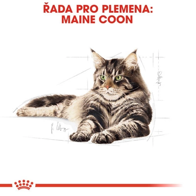 ROYAL CANIN Maine Coon Adult 12x85g 