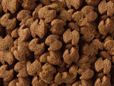 EUKANUBA Adult Golden Retriever 12kg
