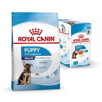 ROYAL CANIN Maxi Puppy 15kg  + ROYAL CANIN 12x85g GRATIS !!!!