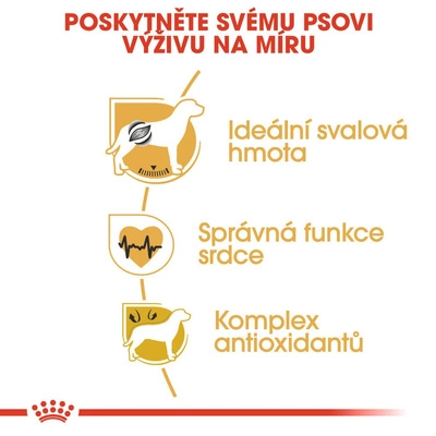 ROYAL CANIN Boxer Adult 12kg + PŘEKVAPENÍ ZDARMA !!!