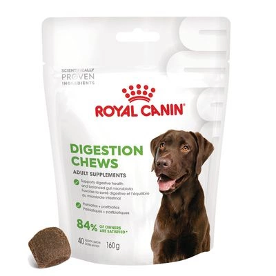 Royal Canin Digestion Adult Chews 6x160g