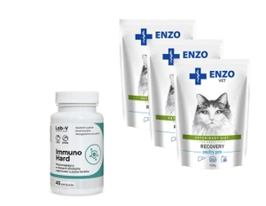 ENZO VET Recovery pro kočky 3x100g + LAB-V Immuno Hard 45 tablet